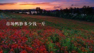 市场鸭胗多少钱1斤 市场鸭胗多少钱1斤
