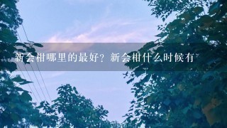 新会柑哪里的最好?新会柑什么时候有 新会柑哪里的最好?新会柑什么时候有