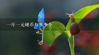1斤1元硬币有多少个 1斤1元硬币有多少个
