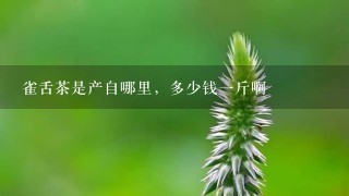 雀舌茶是产自哪里,多少钱1斤啊 雀舌茶是产自哪里,多少钱1斤啊