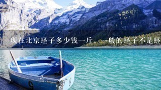 现在北京蛏子多少钱1斤,1般的蛏子不是蛏子王 现在北京蛏子多少钱1斤,1般的蛏子不是蛏子王