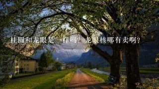 桂圆和龙眼是1样吗?龙眼核哪有卖啊? 桂圆和龙眼是1样吗?龙眼核哪有卖啊?
