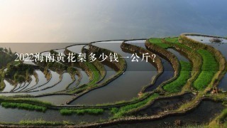 2022海南黄花梨多少钱1公斤? 2022海南黄花梨多少钱1公斤?