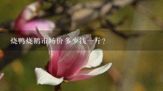 烧鸭烧鹅市场价多少钱1斤? 烧鸭烧鹅市场价多少钱1斤?