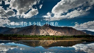大鹅市场价多少钱1斤现在 大鹅市场价多少钱1斤现在