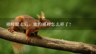 褚时健走后,他的褚橙怎么样了? 褚时健走后,他的褚橙怎么样了?