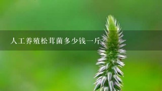 人工养殖松茸菌多少钱1斤? 人工养殖松茸菌多少钱1斤?