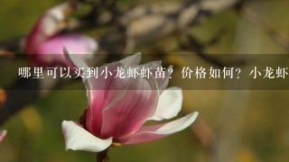 哪里可以买到小龙虾虾苗?价格如何?小龙虾销路怎样 哪里可以买到小龙虾虾苗?价格如何?小龙虾销路怎样
