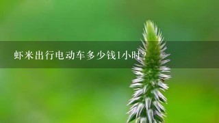 虾米出行电动车多少钱1小时? 虾米出行电动车多少钱1小时?