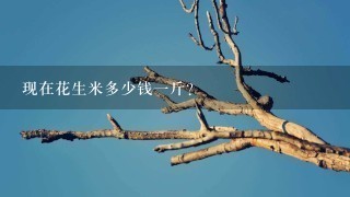 现在花生米多少钱1斤? 现在花生米多少钱1斤?
