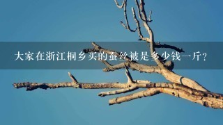 大家在浙江桐乡买的蚕丝被是多少钱1斤? 大家在浙江桐乡买的蚕丝被是多少钱1斤?