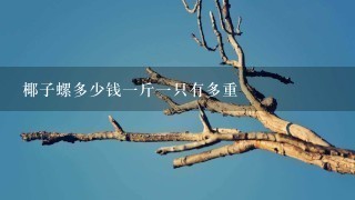 椰子螺多少钱1斤1只有多重 椰子螺多少钱1斤1只有多重