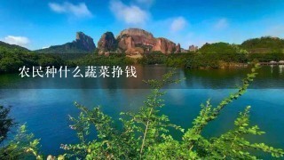 农民种什么蔬菜挣钱 农民种什么蔬菜挣钱
