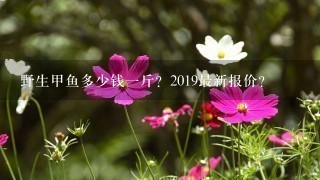 野生甲鱼多少钱1斤?2019最新报价? 野生甲鱼多少钱1斤?2019最新报价?