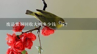 废品紫铜回收大概多少钱1斤? 废品紫铜回收大概多少钱1斤?