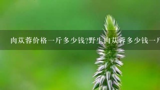 肉苁蓉价格1斤多少钱?野生肉苁蓉多少钱1斤? 肉苁蓉价格1斤多少钱?野生肉苁蓉多少钱1斤?