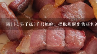4川7男子抓8千只蟾蜍,提取蟾酥出售获利近百万元 4川7男子抓8千只蟾蜍,提取蟾酥出售获利近百万元