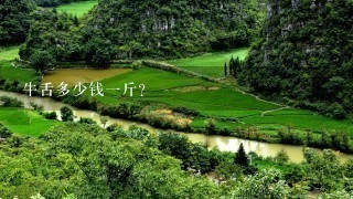 牛舌多少钱1斤? 牛舌多少钱1斤?