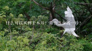 什么可以买到干木耳?需要多少钱1斤? 什么可以买到干木耳?需要多少钱1斤?