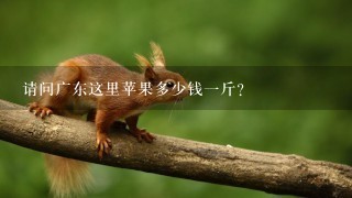 请问广东这里苹果多少钱1斤?