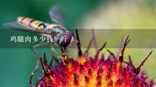 鸡腿肉多少钱1斤 鸡腿肉多少钱1斤