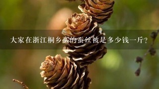 大家在浙江桐乡买的蚕丝被是多少钱1斤? 大家在浙江桐乡买的蚕丝被是多少钱1斤?