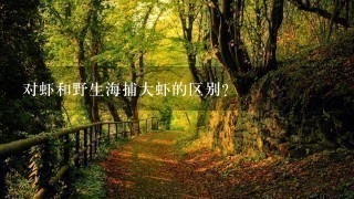 对虾和野生海捕大虾的区别? 对虾和野生海捕大虾的区别?