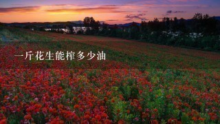 1斤花生能榨多少油 1斤花生能榨多少油