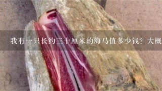 我有1只长约3十厘米的海马值多少钱?大概多少钱? 我有1只长约3十厘米的海马值多少钱?大概多少钱?