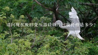 请问现在废旧变压器硅钢片回收价格是多少? 请问现在废旧变压器硅钢片回收价格是多少?