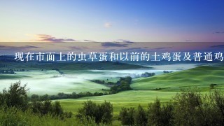 现在市面上的虫草蛋和以前的土鸡蛋及普通鸡蛋区别在那里?如何区分? 现在市面上的虫草蛋和以前的土鸡蛋及普通鸡蛋区别在那里?如何区分?