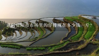 请问贵阳市市场里的仔排现在多少钱1斤? 请问贵阳市市场里的仔排现在多少钱1斤?