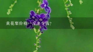 黄花梨价格1斤多少钱? 黄花梨价格1斤多少钱?