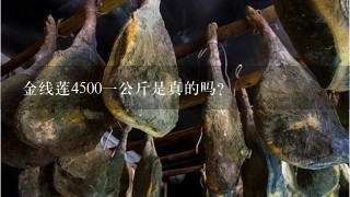 金线莲45001公斤是真的吗? 金线莲45001公斤是真的吗?