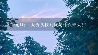 1049元1斤,天价荔枝到底是什么来头? 1049元1斤,天价荔枝到底是什么来头?