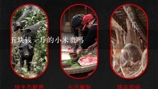 5块钱1斤的小米贵吗 5块钱1斤的小米贵吗