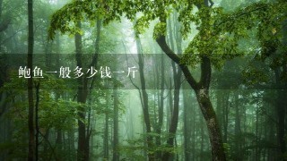 鲍鱼1般多少钱1斤 鲍鱼1般多少钱1斤
