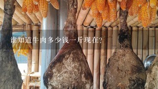 谁知道牛肉多少钱1斤现在? 谁知道牛肉多少钱1斤现在?