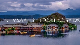 钓1斤左右和1斤1下的鱼用什么鱼钩和鱼线,主线子线的号数,鱼钩,我在溪流钓的主钓鲤鱼和鲫鱼 钓1斤左右和1斤1下的鱼用什么鱼钩和鱼线,主线子线的号数,鱼钩,我在溪流钓的主钓鲤鱼和鲫鱼