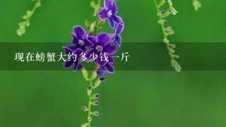 现在螃蟹大约多少钱1斤 现在螃蟹大约多少钱1斤