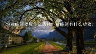 泡黄蜂酒要放什么药材?黄蜂酒有什么功效? 泡黄蜂酒要放什么药材?黄蜂酒有什么功效?