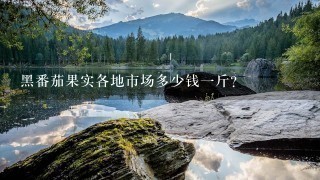 黑番茄果实各地市场多少钱1斤? 黑番茄果实各地市场多少钱1斤?