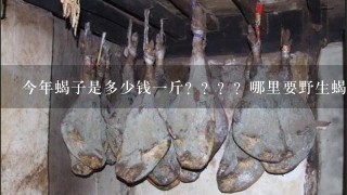 今年蝎子是多少钱1斤????哪里要野生蝎子 今年蝎子是多少钱1斤????哪里要野生蝎子