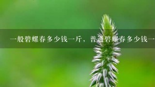1般碧螺春多少钱1斤,普通碧螺春多少钱1斤 1般碧螺春多少钱1斤,普通碧螺春多少钱1斤