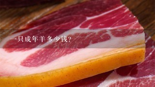 1只成年羊多少钱? 1只成年羊多少钱?