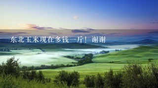 东北玉米现在多钱1斤!谢谢 东北玉米现在多钱1斤!谢谢