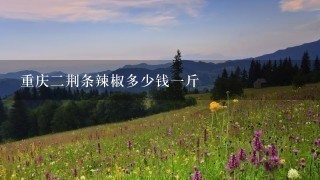 重庆2荆条辣椒多少钱1斤 重庆2荆条辣椒多少钱1斤