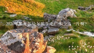 2020年黑龙江哈尔滨牛毛广多少钱1斤啊? 2020年黑龙江哈尔滨牛毛广多少钱1斤啊?