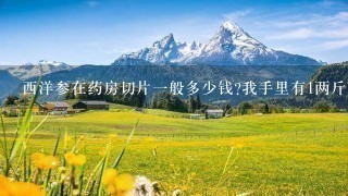 西洋参在药房切片1般多少钱?我手里有1两斤,切片的话要多少钱?麻烦知道的各位回复下,在下等。谢谢! 西洋参在药房切片1般多少钱?我手里有1两斤,切片的话要多少钱?麻烦知道的各位回复下,在下等。谢谢!