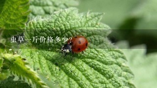 虫草1斤价格多少? 虫草1斤价格多少?